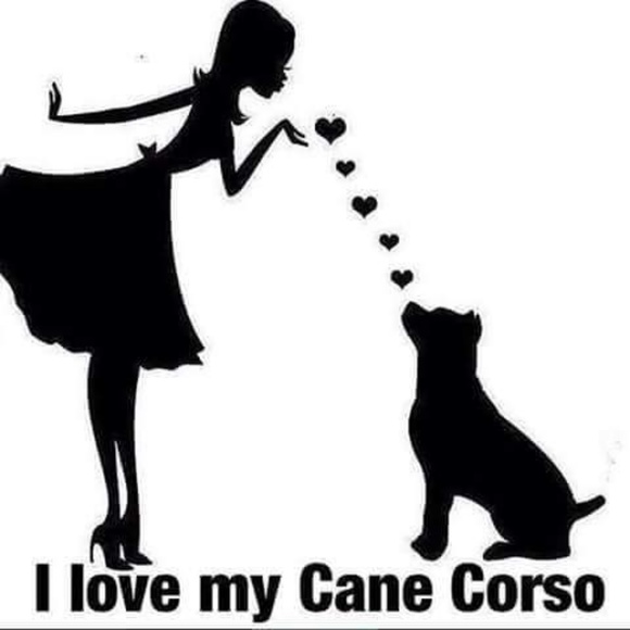 Meet your Posher, Sabina - Picture 2 of 2